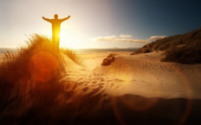 Ein Plädoyer fürs Aufgeben – wann es sich lohnt, NICHT durchzuhalten!